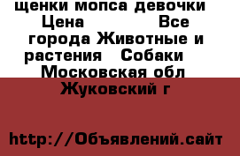 щенки мопса девочки › Цена ­ 25 000 - Все города Животные и растения » Собаки   . Московская обл.,Жуковский г.